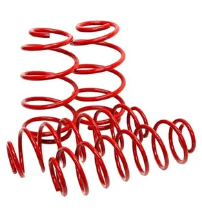 Low Rider 40MM lowering Springs - Polo 8