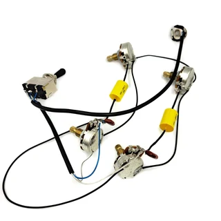 Les Paul, SG or similar guitar Pre-wired Electronics with 2 Volume 2 Tone , Jack and Switch