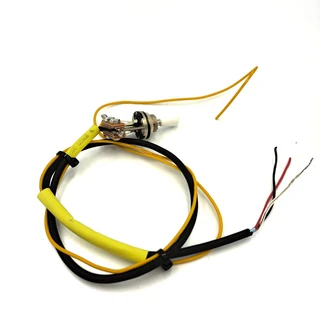 Pre-wired Electronics for Les Paul, SG or similar with 2V2T with Push Pull Pots