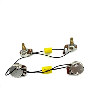 Pre-wired Electronics for Les Paul, SG or similar with 2V2T without Jack and Switch