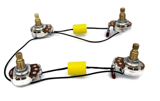 Pre-wired Electronics for Les Paul, SG or similar with 2V2T without Jack and Switch