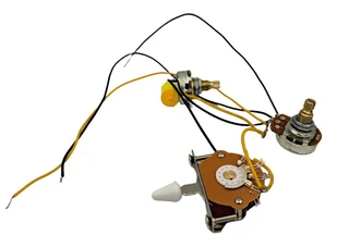Pre-wired Electronics for Strat, Master Volume and Master Tone