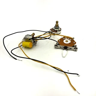 Pre-wired Electronics for Strat, Master Volume and Master Tone
