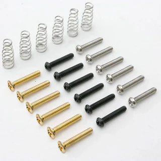 Chrome Single Coil Pickup Screws &amp; Springs – Set of 6