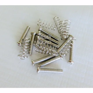 Chrome Telecaster Bridge Pickup Screws and Springs – Set of 3