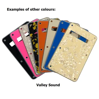 Strat Guitar Tremolo Cavity Cover - Mint Green