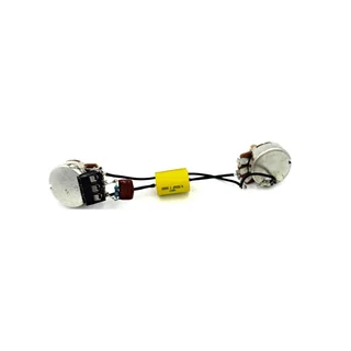 Solderless Pre-wired Electronics for Les Paul, SG or similar with 1V1T without Jack and Switch
