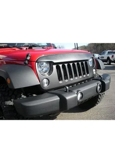 Aggressive Hawk Eyes Grille Matte Black