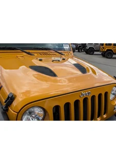 10th Anniversary Bonnet- Steel Black e-coated