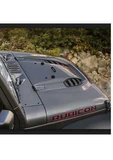 10th Anniversary Bonnet- Steel Black e-coated