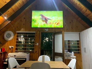 Tv wall mount installation pictures frames mount