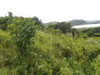 Reduced! Farmland by Mnini Dam