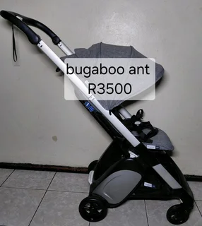 Bugaboo ant