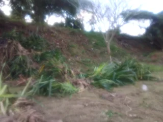 Grass cutting and once off clearing