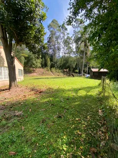 Grass cutting and once off clearing