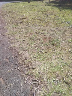 Grass cutting and once off clearing