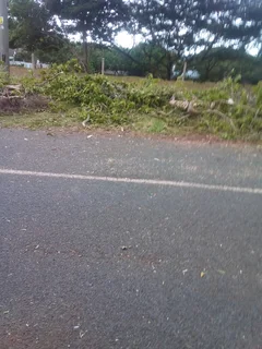 Grass cutting and once off clearing