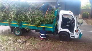 Rubble and junk removal