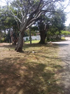 Grass cutting and once off clearing