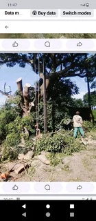 Tree felling and garden service in Durban and surrounding areas