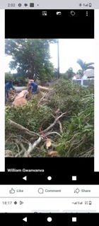 Tree felling and garden service in Durban and surrounding areas