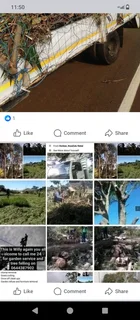 Tree felling and garden service in Durban and surrounding areas