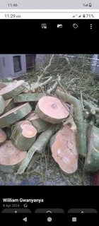 Tree felling and garden service in Durban and surrounding areas