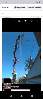 Tree felling and garden service in Durban and surrounding areas