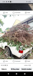 Removal in Durban and surrounding areas