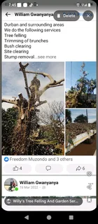 Tree felling and garden service in Durban and surrounding areas