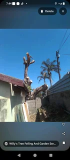 Tree felling and garden service in Durban and surrounding areas