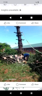 Tree felling and garden service in Durban and surrounding areas
