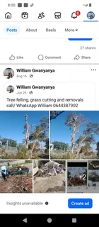 Tree felling and garden service in Durban and surrounding areas