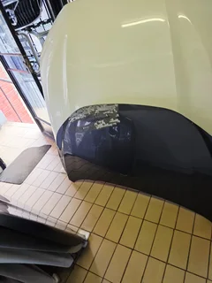 2025 STARLET CROSS/ FRONX BONNET FOR SALE