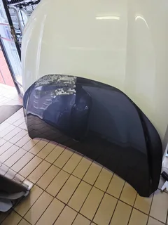 2025 Starlet Cross/ Fronx Bonnet For Sale