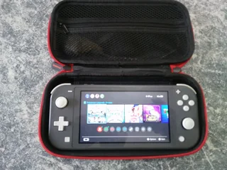 Nintendo switch light