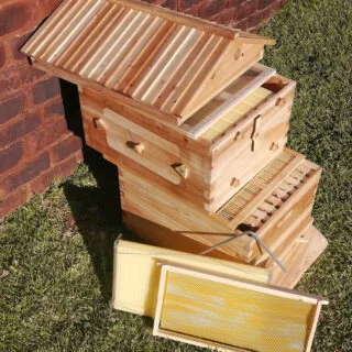 Home Beekeeping in South Africa
