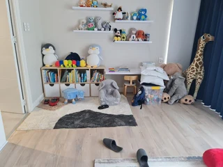 Built-in Cupboards and Furniture