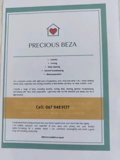 Looking domestic work