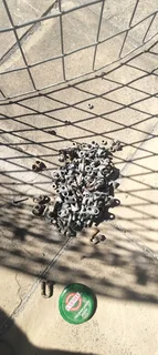 2nd hand Koi dam for sale