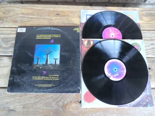 PINK FLOYD DELICATE SOUND OF THUNDER DOUBLE VINYL LP 1988 CBS SCBS 3244