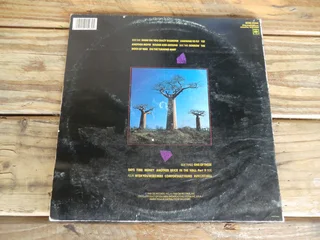 PINK FLOYD DELICATE SOUND OF THUNDER DOUBLE VINYL LP 1988 CBS SCBS 3244