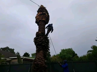 Treecutting job