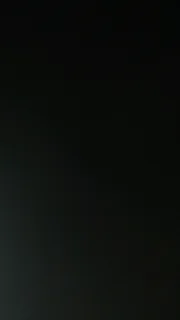 Travel/Carrier boxes for birds and poultry