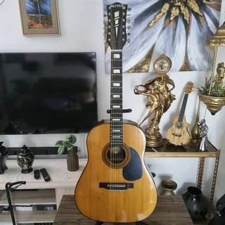 1967 Hofner 499 12 String Guitar