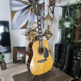 1967 HOFNER 499 12 String Guitar
