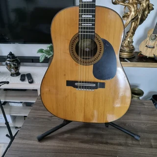 1967 HOFNER 499 12 String Guitar