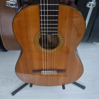 Yamaha CG-120SA classical guitar and hard case - Solid Top - Rosewood back/ sides classical guitar