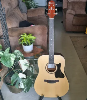Crafter guitar, bag, stand, strap and capo