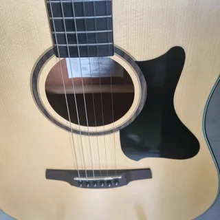 Crafter guitar, bag, stand, strap and capo